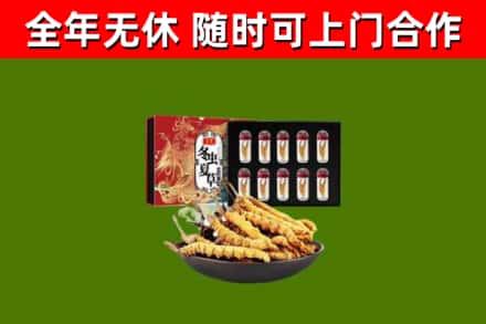 黄陂烟酒回收冬虫夏草礼盒.jpg